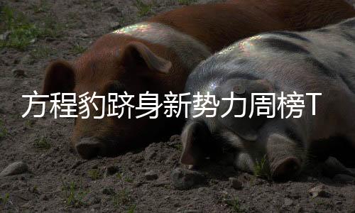 即日起购车即享多重好礼