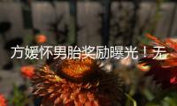 方媛怀男胎奖励曝光	！无限额信用卡、亿元豪礼
，父母保姆轮流伺候