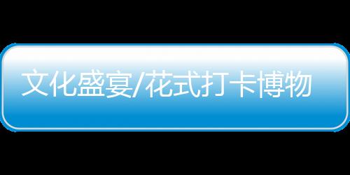 文化为游客奉上精彩文化盛宴