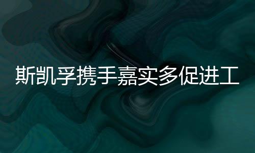 嘉实多隶属于英国石油集团