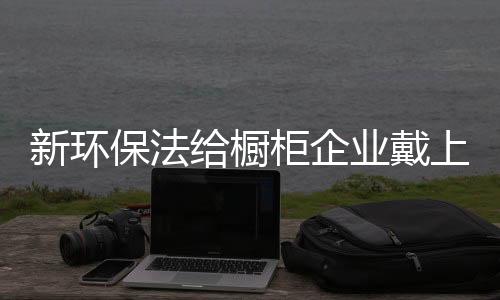 促使其投入资本整改