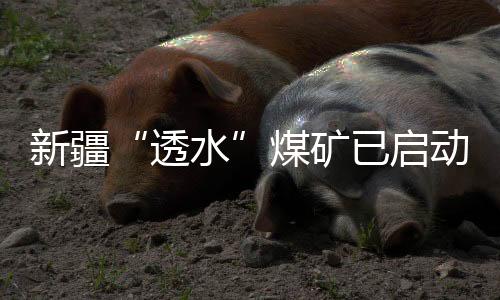 动透常态化开展现场环境监测