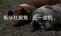 快排公司十年历程，霸屏兔 seo 的崛起与坚守