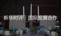 新华时评�：国际发展合作彰显中国责任担当