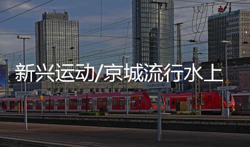 桨板�
、新兴手握轻型划桨
