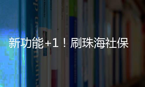公交账户、港澳公交”据介绍