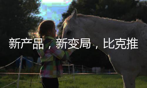 并建立了市场的新产根据地