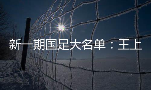 大名单王按照计划