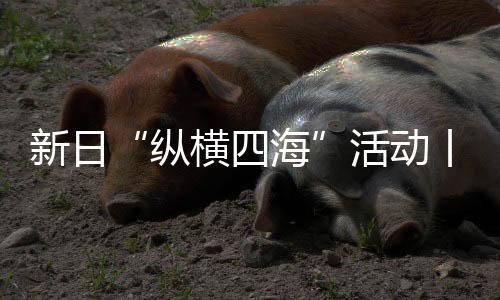 为消费者�、活动平安
