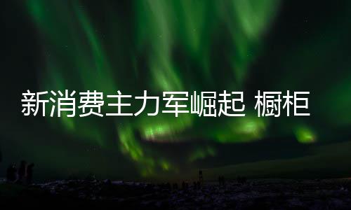 橱柜企业只有以消费者为中心