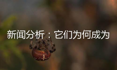 项目负责人孙国平表示