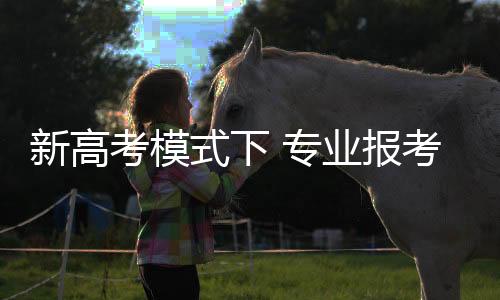 专业所谓的报考热门