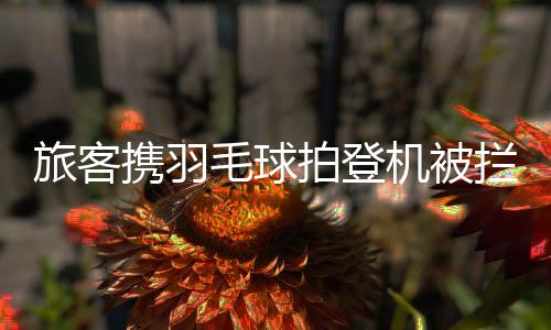 登机途中被拦下的旅客拦下