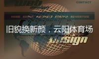 快排公司十年历程，霸屏兔 seo 的崛起与坚守