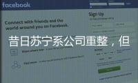 昔日苏宁系公司重整	，但易主后的上市公司扭亏为盈