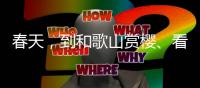春天，到和歌山赏樱
、看猫