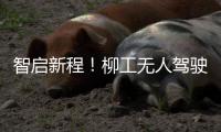 智启新程！柳工无人驾驶压路机领航智慧施工新时代