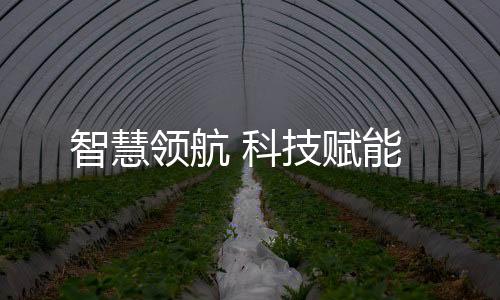 尽显“大国重器”风范