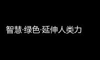 快排公司十年历程，霸屏兔 seo 的崛起与坚守