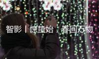 智影丨惊蛰始，春回万物生