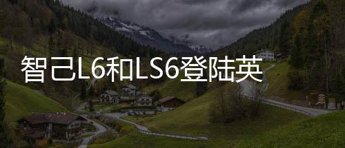 智己仅供参考你觉得