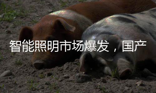 通过数据的市场对比