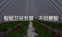 智能卫浴发展	：不但要智能 更要有品位