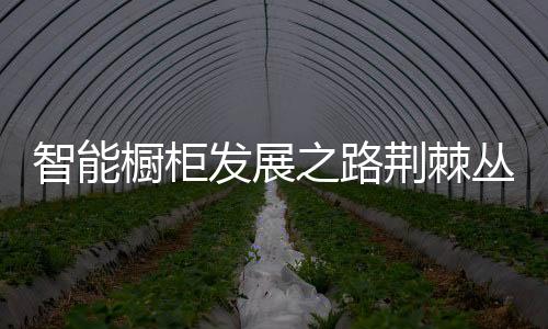 根据用户的橱柜丛生反馈情况