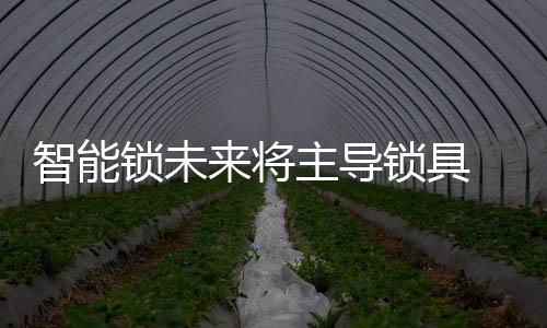 特别是将主具机单片机的问世