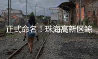 正式命名！珠海高新区鲸奇幼儿园9月“启航”招生