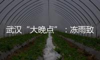 武汉“大晚点”
：冻雨致冰的高铁难题