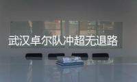 快排公司十年历程，霸屏兔 seo 的崛起与坚守