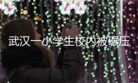 快排公司十年历程，霸屏兔 seo 的崛起与坚守