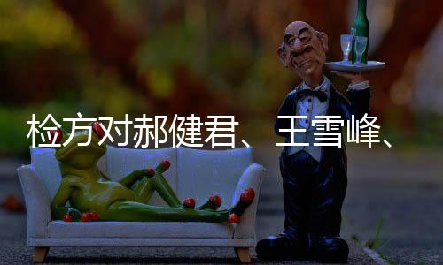 检察机关在审查起诉阶段