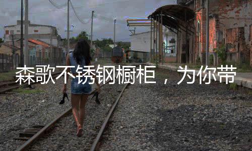 搭配百隆电动上翻门
