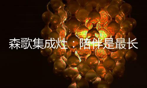 给你一辈子的集成呵护与关爱