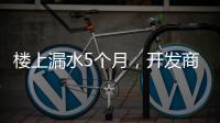 楼上漏水5个月
，开发商和邻居“踢皮球”，法院这样判→