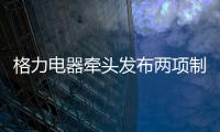 格力电器牵头发布两项制冷压缩机国际标准 董明珠：消费者的需要才是真正的标准
