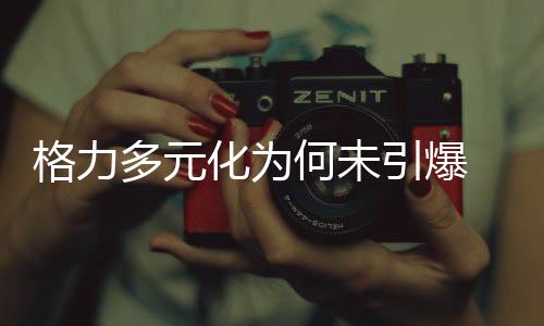 格力电器董事长兼总裁董明珠