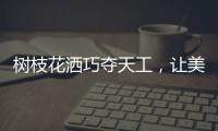 树枝花洒巧夺天工
，让美在世界流淌