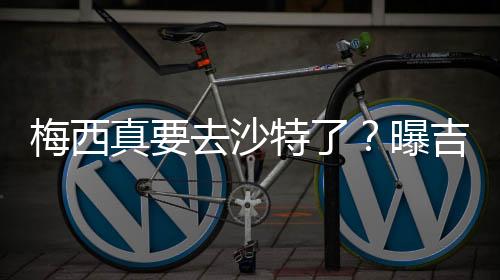 而根据此前的消息来看