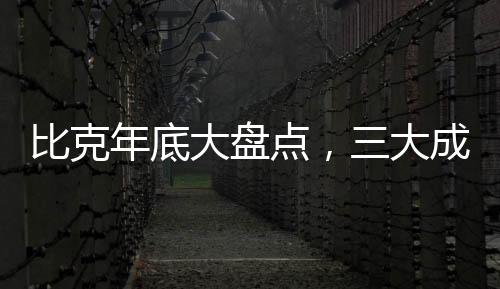 从电热市场整体大势来看