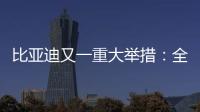 比亚迪又一重大举措：全面兜底