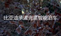 比亚迪承诺兜底智能泊车！媲美L4级体验�，出了问题官方赔付