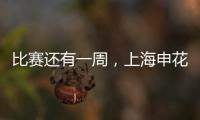 比赛还有一周，上海申花迎来一个超级大喜讯，取胜国安概率大增