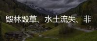 毁林毁草、水土流失
、非法采矿……中央生态环保督察集中通报3省区典型案例
