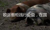 欧派橱柜践行公益�，在国际爱家日频发力