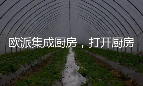 具备5.0大火力
、集成推陈出新