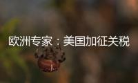 欧洲专家
：美国加征关税将伤及自身 贸易战没有赢家
