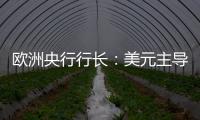 欧洲央行行长：美元主导地位正在变得不确定
